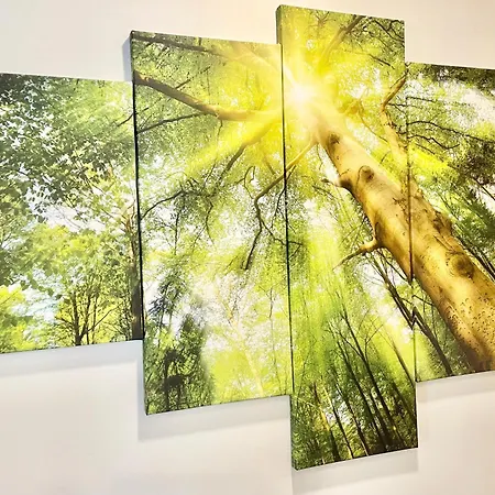 El Boton Del Charro Casco Viejo Cudillero